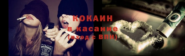 ГАЛЛЮЦИНОГЕННЫЕ ГРИБЫ Богданович