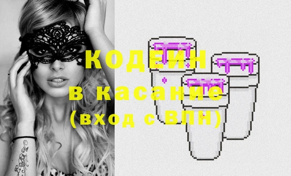 ГАЛЛЮЦИНОГЕННЫЕ ГРИБЫ Богданович