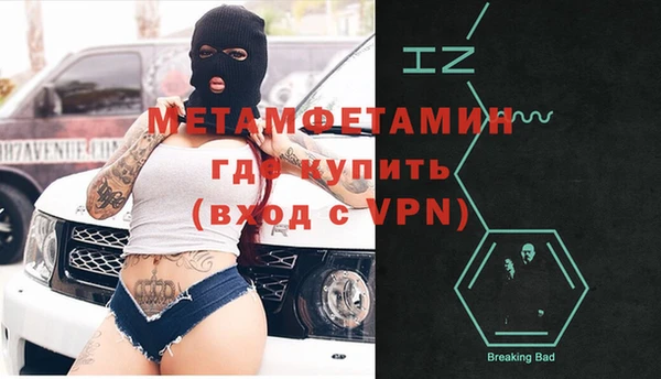 ГАЛЛЮЦИНОГЕННЫЕ ГРИБЫ Богданович