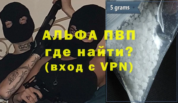 ГАЛЛЮЦИНОГЕННЫЕ ГРИБЫ Богданович