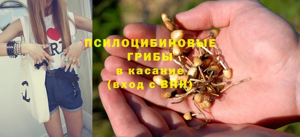 бутират Баксан
