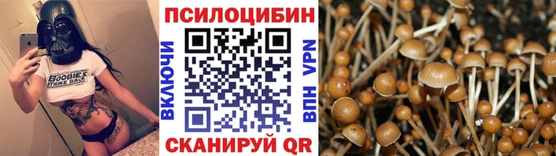 кракен ONION  Олёкминск  Галлюциногенные грибы мухоморы  хочу  